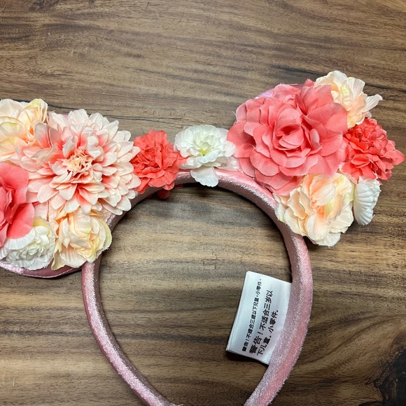 Disney Parks Epcot Flower & Garden Show Ears - Picture 3 of 3